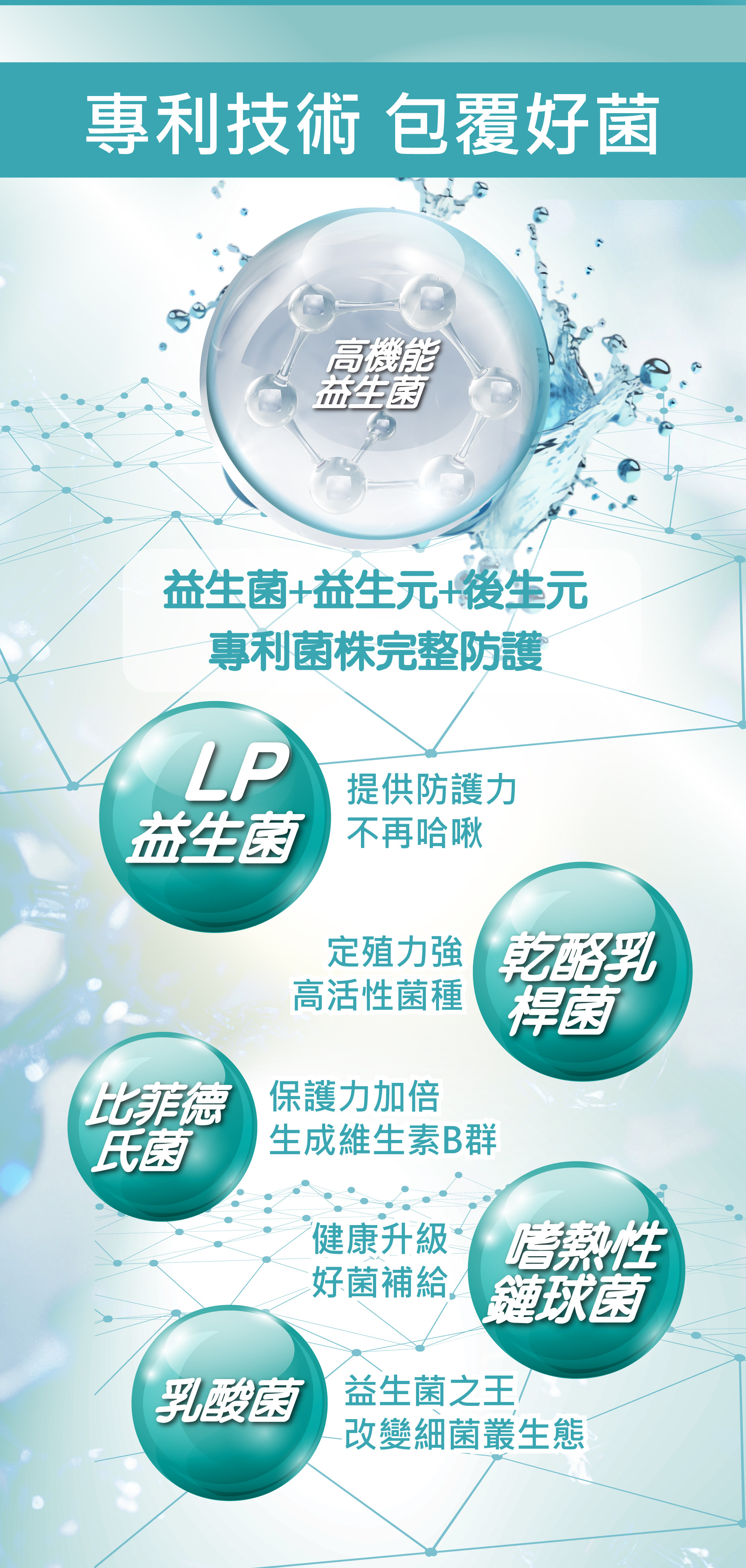 樂敏康益生菌、改善過敏